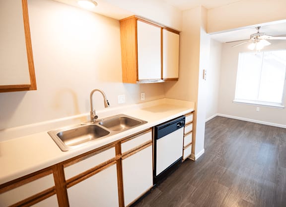 A kitchen with a sink and a dishwasher.