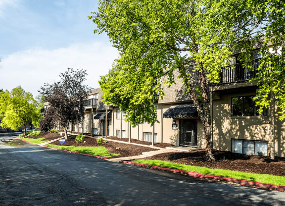the enclave at homecoming terra vista