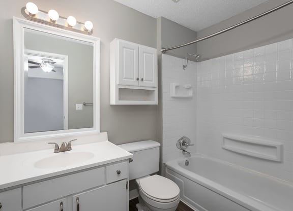 large bathroom apartments