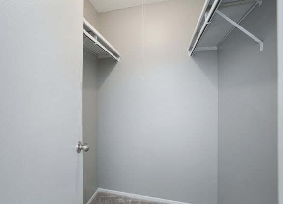 apartment with walk in closet