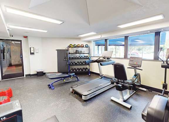 A gym with treadmills, weights, and exercise equipment.