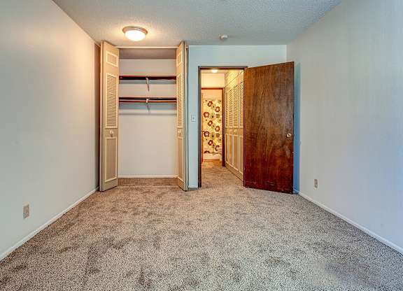 A room with a carpeted floor and a closet with a door open.