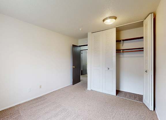 A room with a carpeted floor and a closet with a door open.