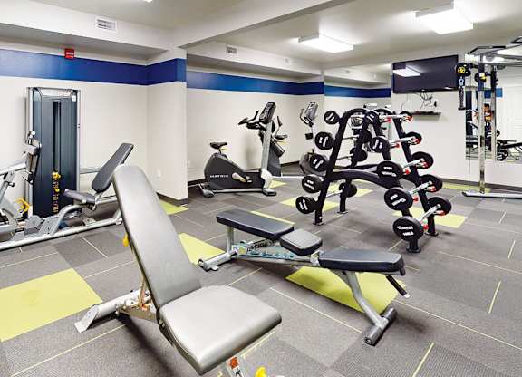 Exercise equipment including a variety of weights and machines at The Chateau Apartments.