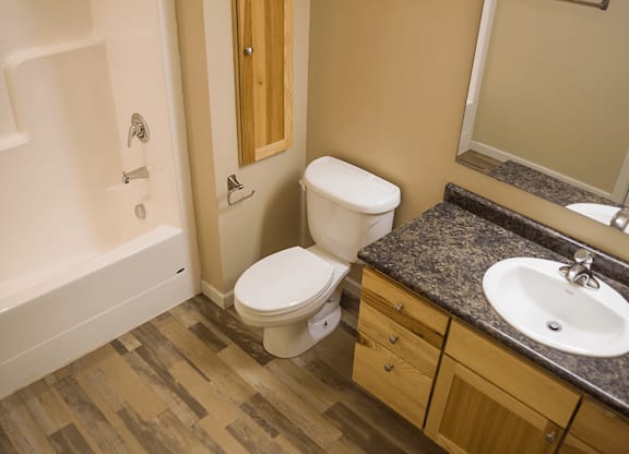 a bathroom with a toilet sink and bathtub