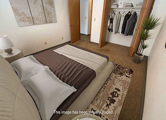 A bedroom with a bed, a lamp, a rug, a plant, and a closet with clothes.