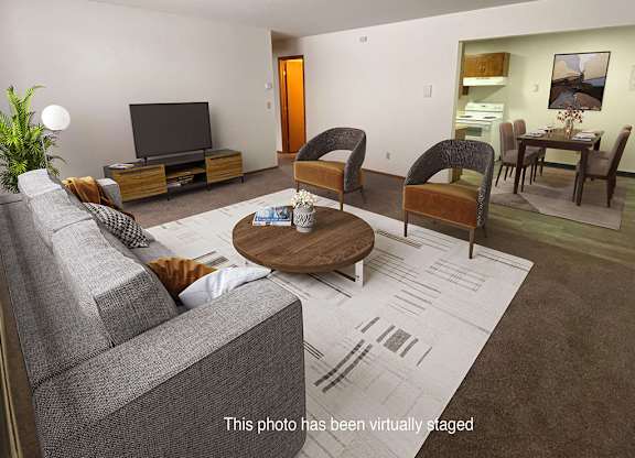 A living room with a grey couch, a coffee table, and a television.