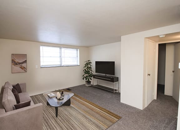apartment model living room