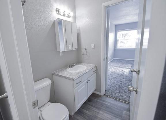 a bathroom with a sink toilet and a mirror
