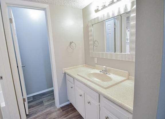 a bathroom with a sink and a mirror