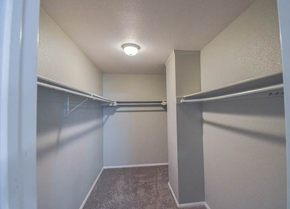 Large walk in closet with a carpeted floor and a single light fixture on the ceiling.