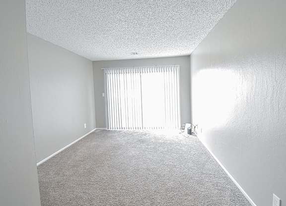 an empty room with white carpet and a window