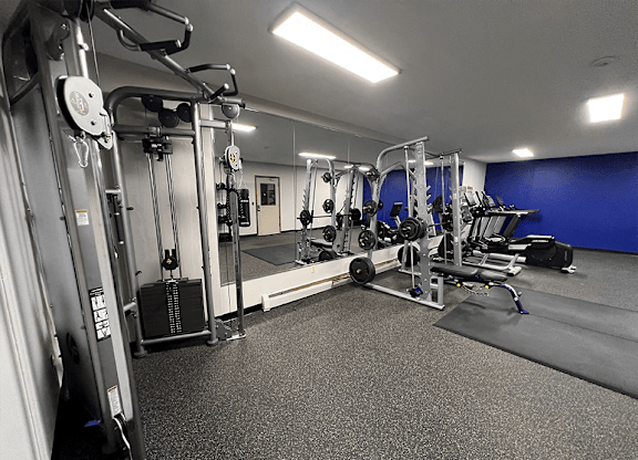 a fully equipped gym with free weights and cardio equipment