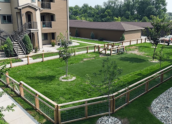 A small tree is in a white pot in the middle of a grassy area.