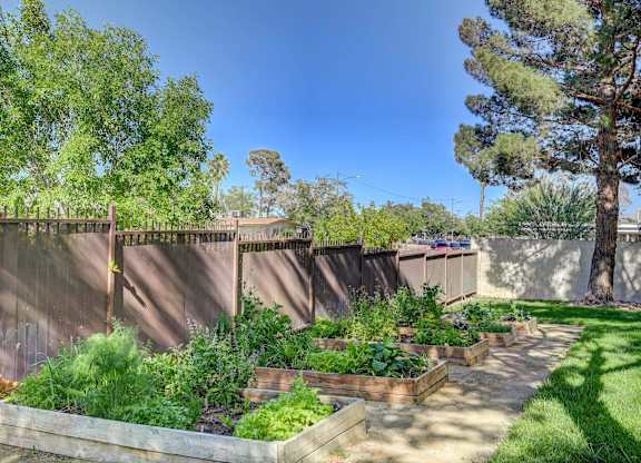 A garden with a fence and a tree.