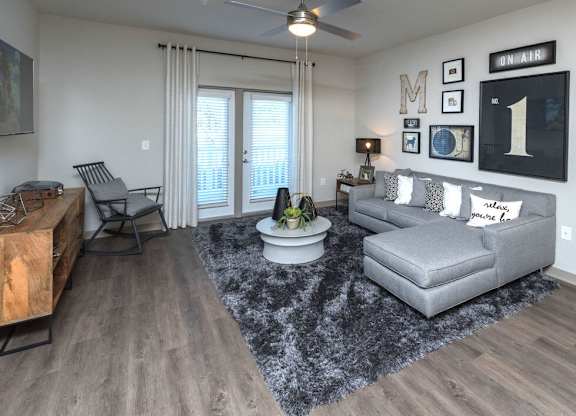 A living room with a grey couch, a wooden coffee table, and a rug.