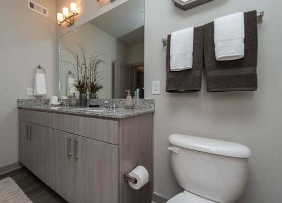 A bathroom with a white toilet and a counter with a mirror above it.