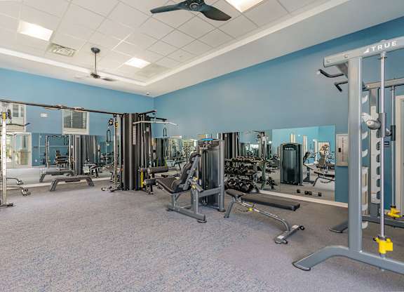 A gym with a variety of equipment including weights and machines.