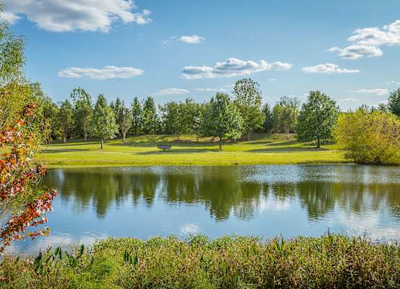 A serene landscape with a lake, trees, and a clear sky.
