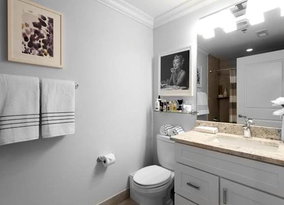 Bathroom at Wells Place Apartments, Chicago, Illinois