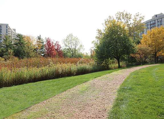 Natural Wetlands at Regency Place, Oakbrook Terrace, IL