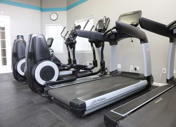 24 HR Fitness Center at Landings at Amhurst Lake Apartments, Illinois