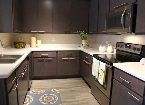 Renovated Kitchen with Stainless Appliances at Landings at Amhurst Lake Apartments, Illinois