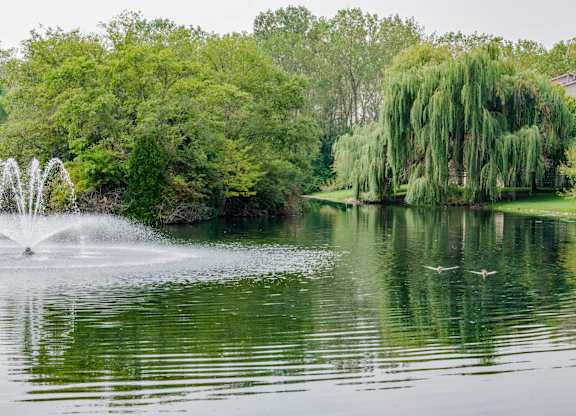 a fountain in the middle of a lake with trees in the background at Evergreen Luxury Apartments, Merrillville
