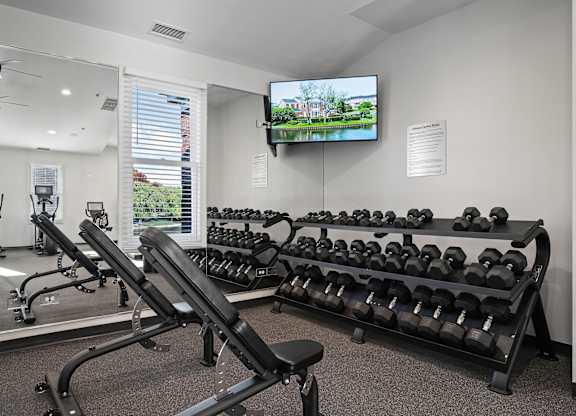 A gym with a row of dumbbells and a television playing a nature scene.