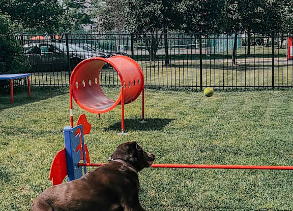 New Dog Park2 at Landings at Amhurst Lake Apartments, Waukegan, IL