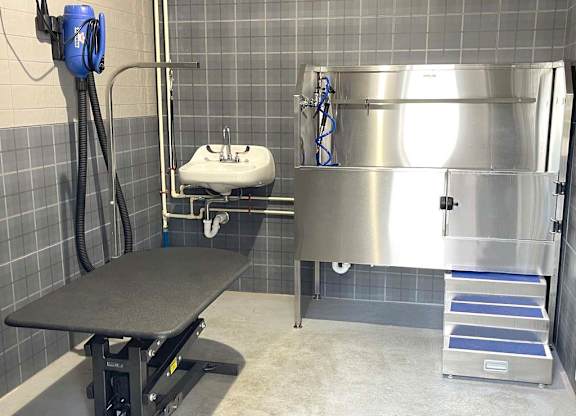 Dog spa at Elevate Apartments, Wisconsin, 53718
