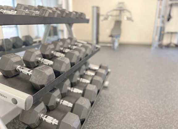 Fitness Hand Weights at Elevate Apartments, Madison, WI