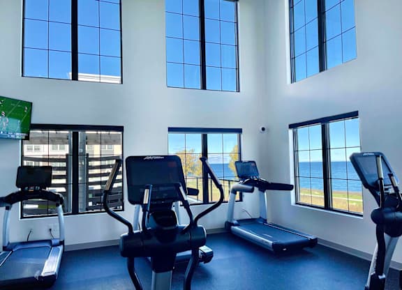 a gym with cardio equipment and windows overlooking the lake at 42 Hundred On The Lake, St Francis