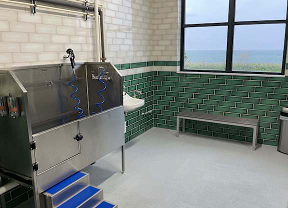 Pet friendly community featuring Fresh Paws Pet Spa, which includes a pet washing station, grooming table and dryer