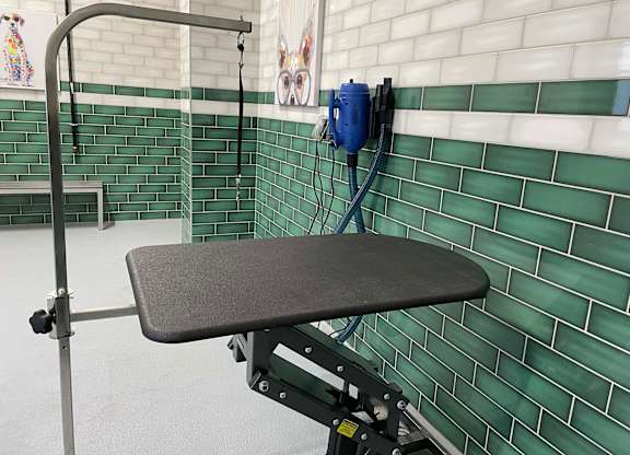 Pet friendly community featuring Fresh Paws Pet Spa, which includes a pet washing station, grooming table and dryer