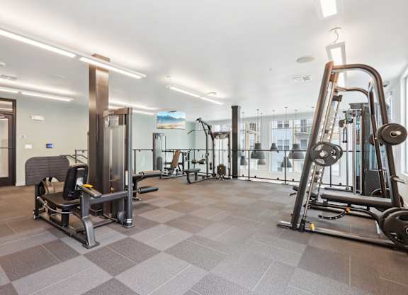 A gym with a variety of equipment including a squat rack, bench press, and a treadmill.