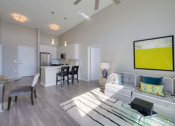 Living room area at Apex 41, Lombard, 60148