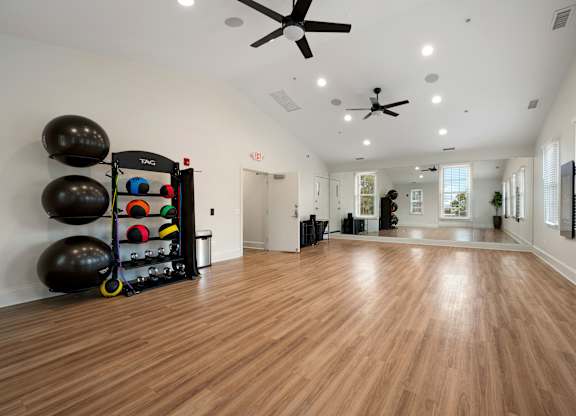 A gym with a wooden floor and a wall of exercise balls.