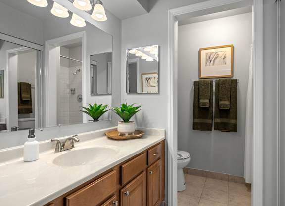 A bathroom with a white sink and a mirror above it.