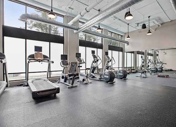 Treadmill at The Shelby, Illinois, 60616