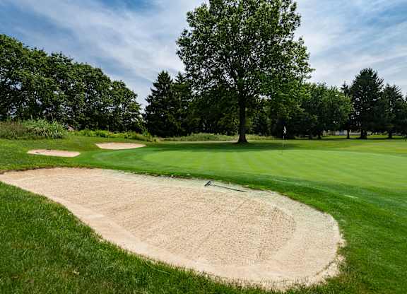 A sand trap on a golf course with a tree in the background.