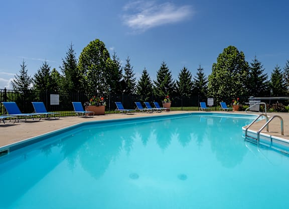 A large blue swimming pool surrounded by trees and sun loungers.