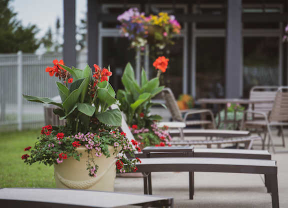 A table with a vase of flowers on it.