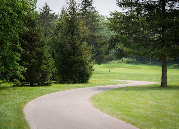 A winding path in a lush green park.