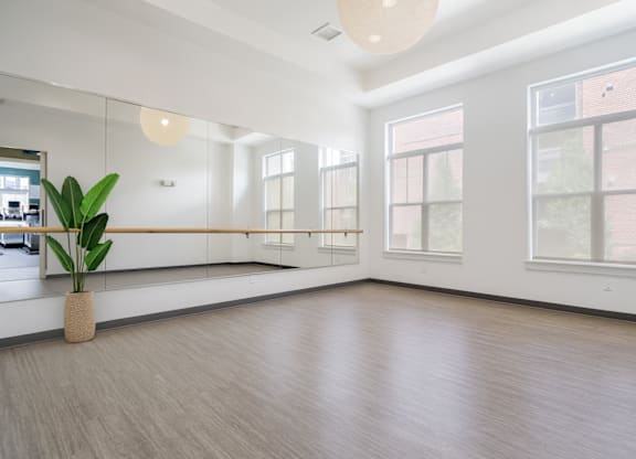 A large empty room with a plant in a pot.