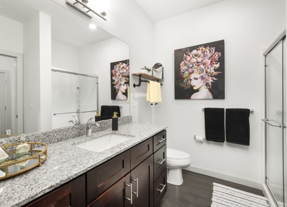 A bathroom equipped with a vanity with a mirror, a walk-in shower, and hardwood-style flooring.