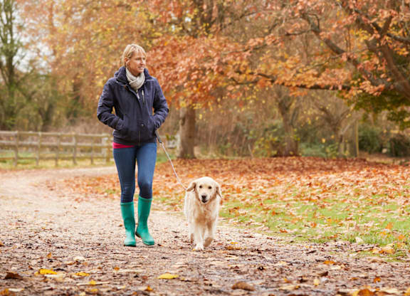 A woman walking her dog in a leaf-covered park.