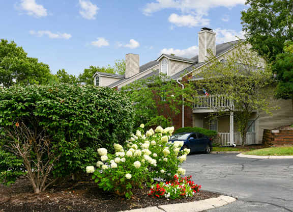 Patchen Oaks Apartments - Exterior Green Spaces