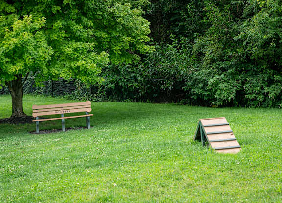 Grassy picnic area with a bench and picnic table at The Coleman Apartments in Canal Winchester, OH