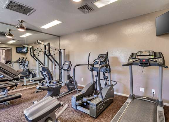 the gym at our apartments has cardio equipment and weights